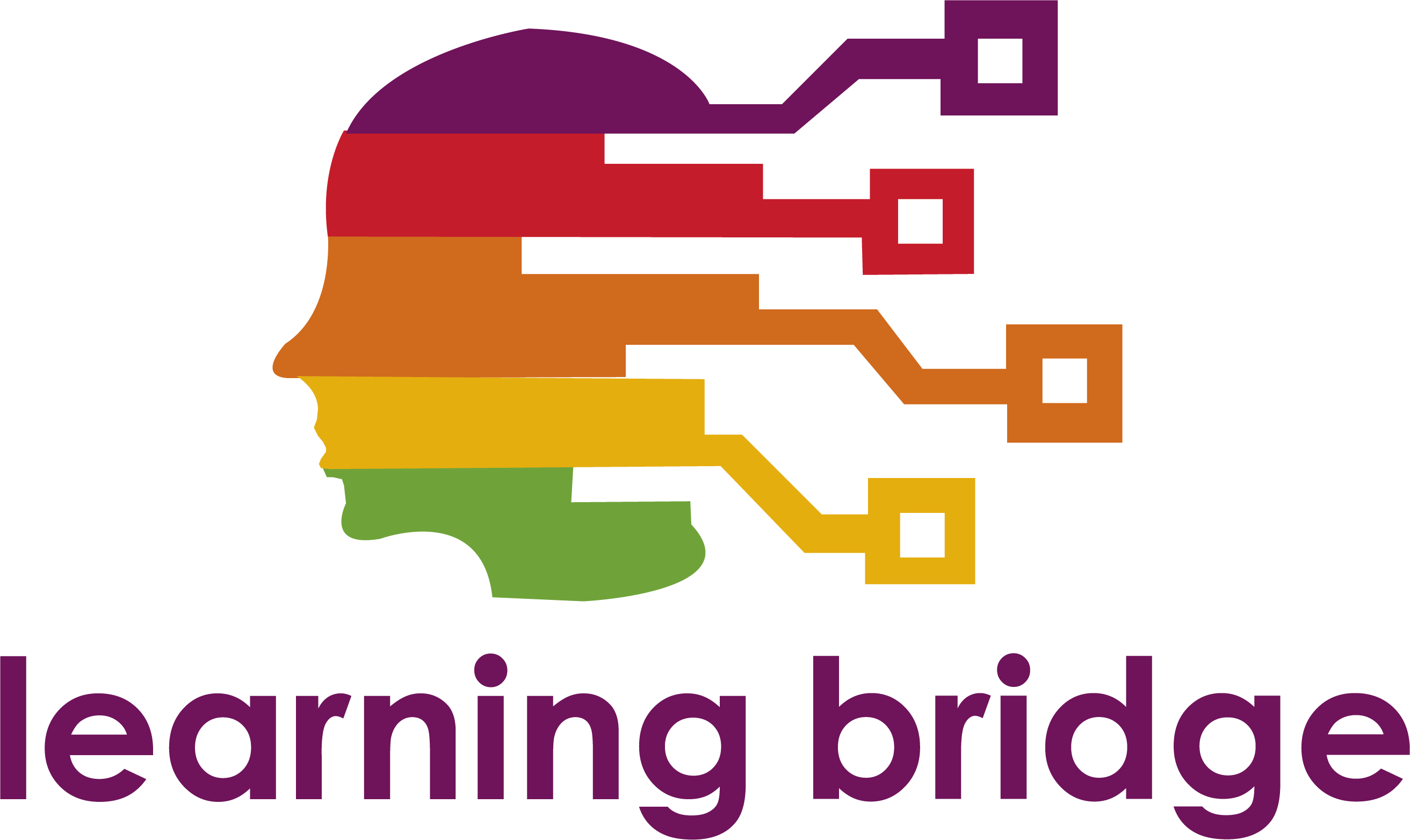 Learning Bridge Group